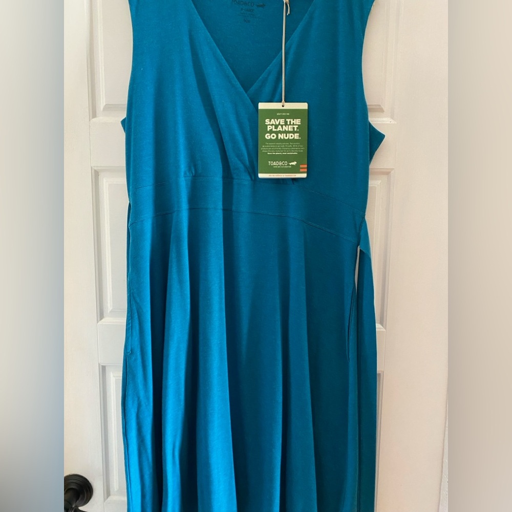 Toad&Co Wellington Blue Sleeveless Dress